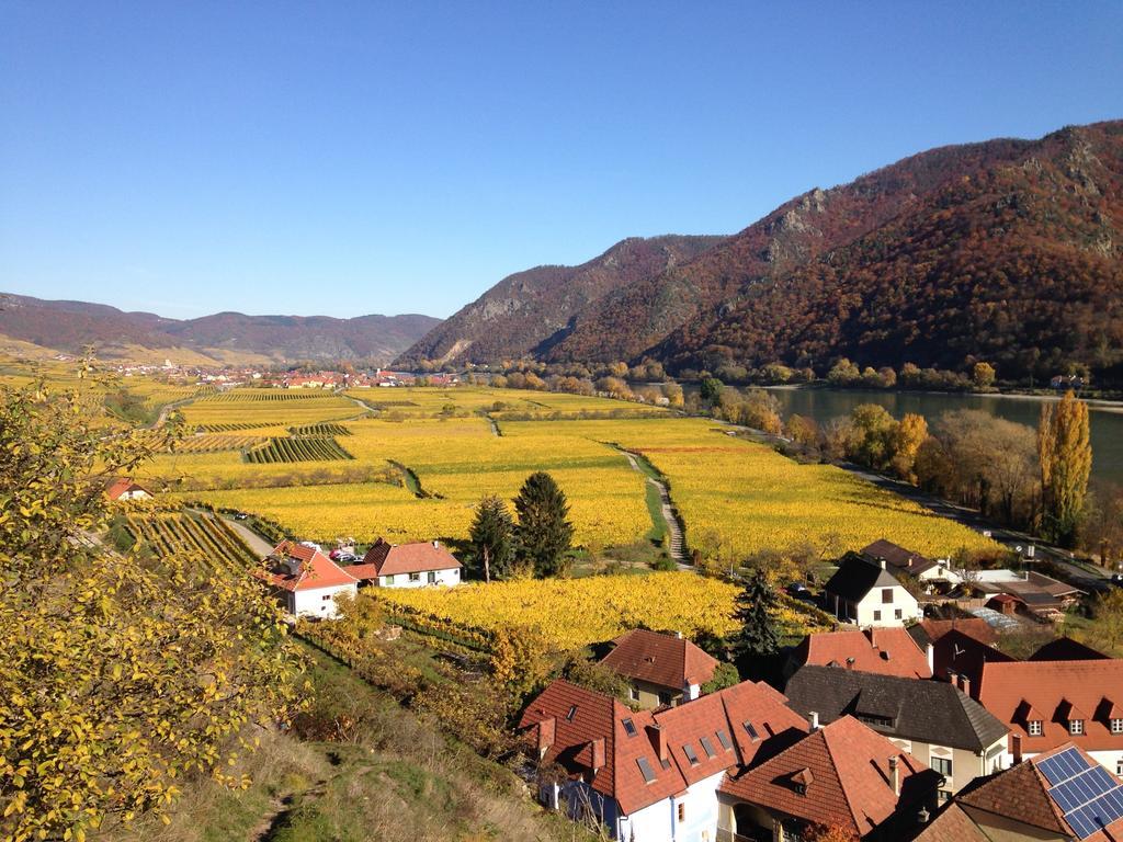Apartement Schlaf Gut - Mitten In Der Wachau Weißenkirchen in der Wachau Værelse billede